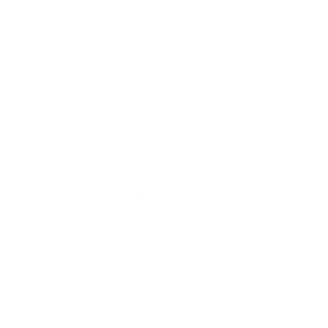 KingKongTrailers-Bluestage-marketing-company