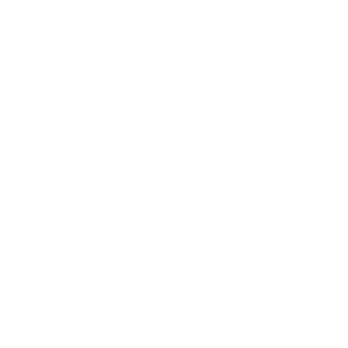 White text on a light gray background reads: KING KONG PRODUCTION VEHICLES, INC in bold, uppercase letters. The text blends into the background, making it difficult to read—something even a digital marketing agency would caution against for optimal visibility.